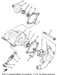 Water Pump