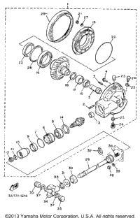 Drive Shaft
