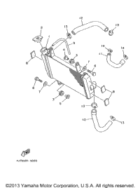 Radiator Hose