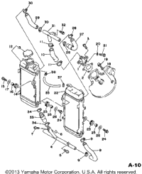 Radiator Hose