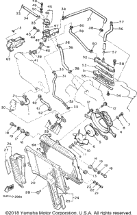 Radiator Hose