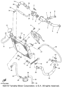 Radiator Hose