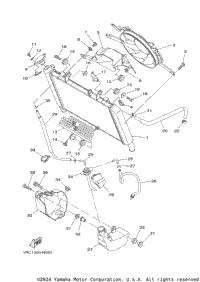 Radiator Hose