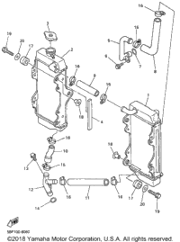 Radiator Hose