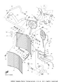 Radiator Hose
