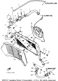 Radiator Hose
