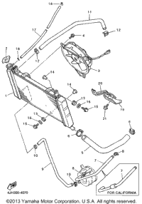 Radiator Hose