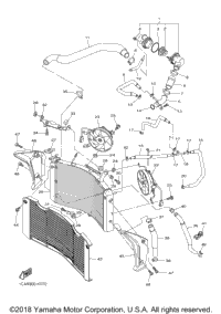 Radiator Hose