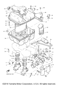 Intake