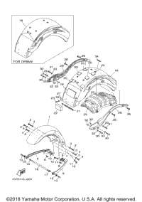 Fender
