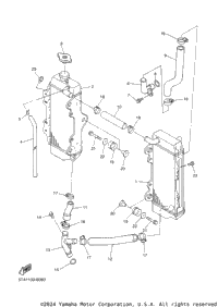 Radiator & Hose
