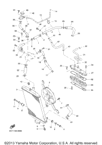 Radiator Hose