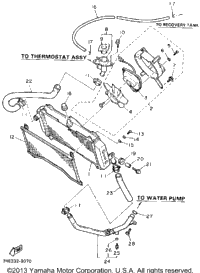 Radiator Hose