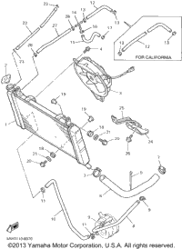 Radiator Hose