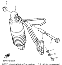 Rear Shocks
