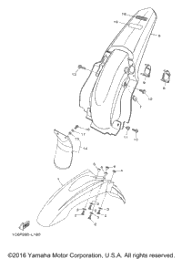 Fender