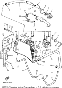 Radiator Hose