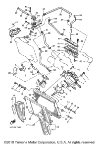 Radiator Hose