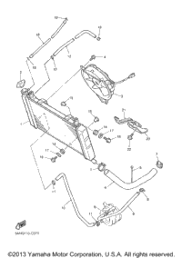 Radiator Hose