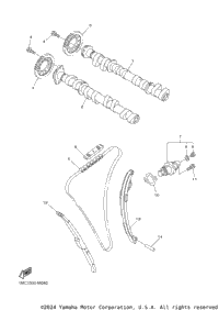 Camshaft Chain