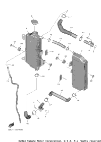 Radiator & Hose