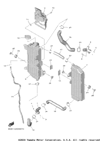 Radiator & Hose