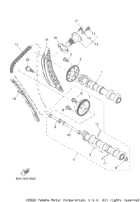 Camshaft & Chain