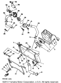 Radiator Hose