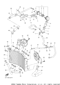 Radiator Hose