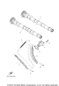 Camshaft Chain