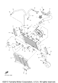 Radiator Hose