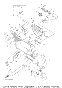 Radiator Hose