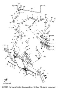 Radiator Hose