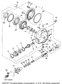 Drive Shaft