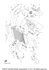 Radiator Hose