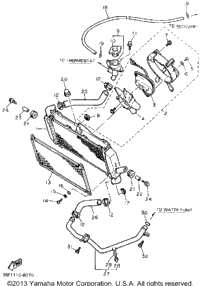 Radiator Hose