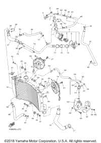 Radiator Hose