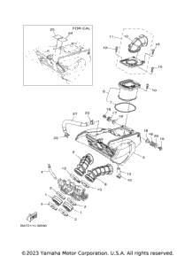 Intake