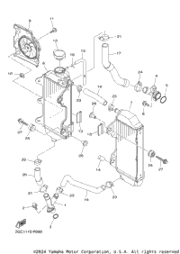 Radiator Hose