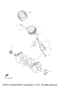 Crankshaft Piston