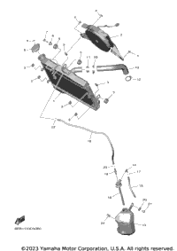 Radiator & Hose