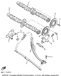 Camshaft Chain