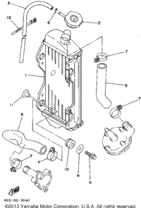 Radiator - Hose