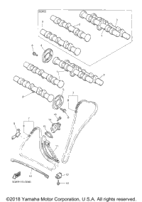 Camshaft Chain