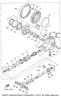 Drive Shaft