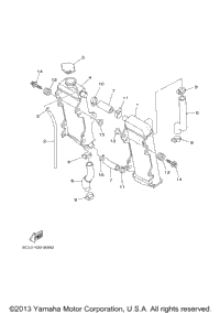 Radiator Hose