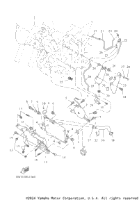 Radiator & Hose