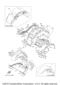 Fender