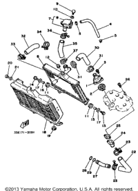 Radiator - Hose
