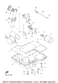 Oil Cooler
